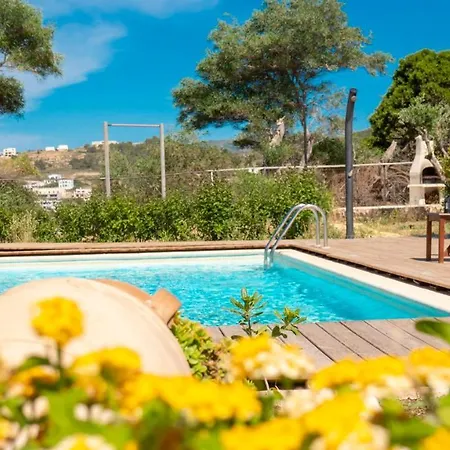 Vila Zizi Sea View Afantou